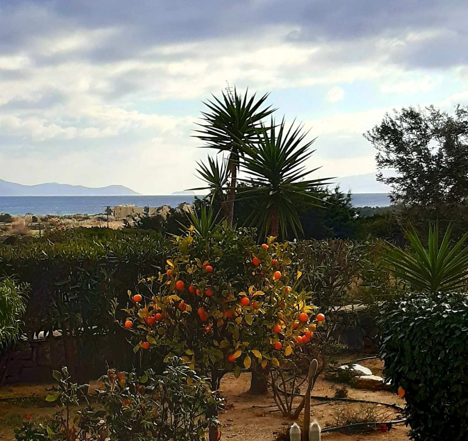 Haus Asterakia view 5